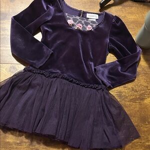 Youngland Purple Velvet Kids Dress Size 5 Tulle Pre-loved Hearts Valentine’s